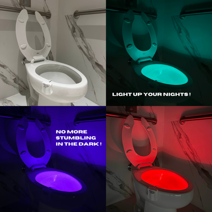 Motion Sensor Toilet Light