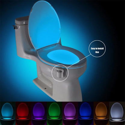 Motion Sensor Toilet Light